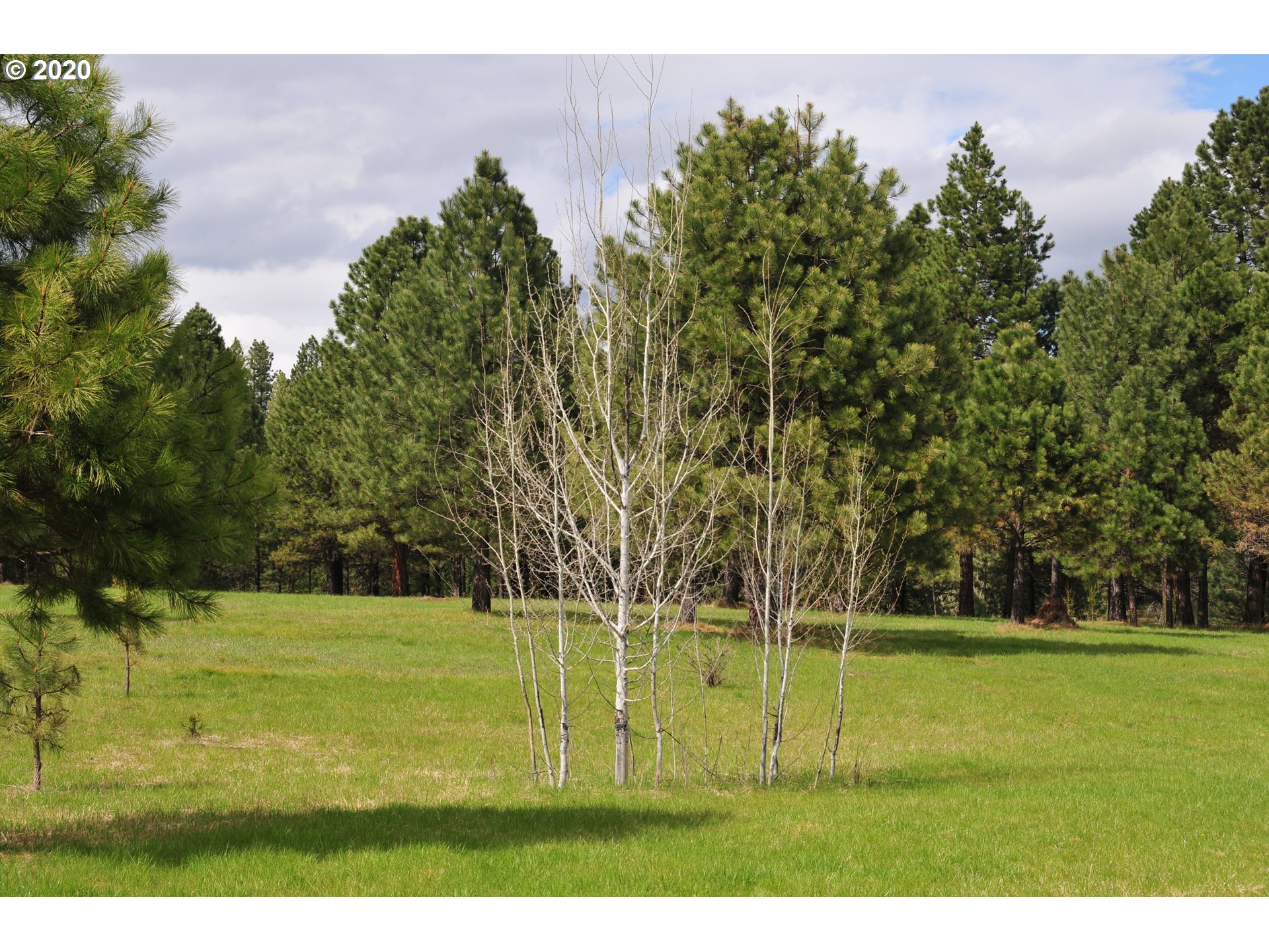 75885 Palmer Junction Road Elgin, OR 97827 - Photo 14 of 30 Gallery Image 14
