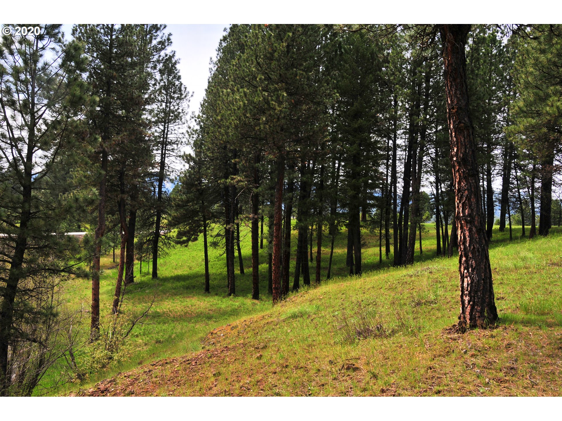 75885 Palmer Junction Road Elgin, OR 97827 - Photo 15 of 30 Gallery Image 15