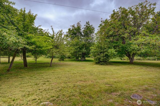 a view of a yard from a outdoor space