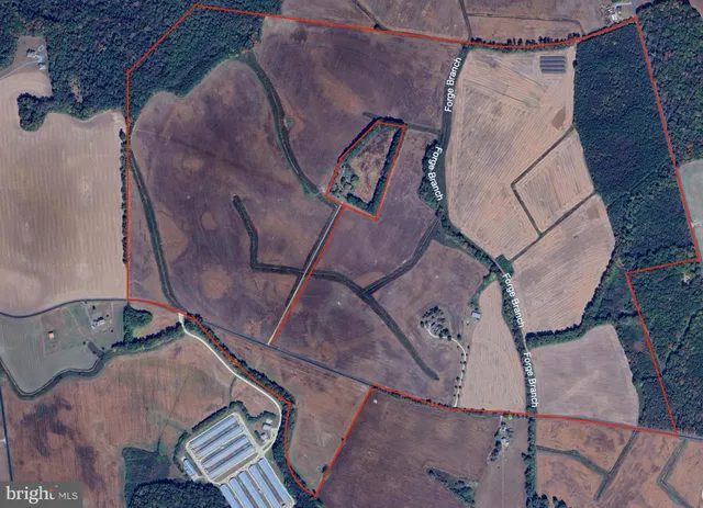 a view of a garden from a window