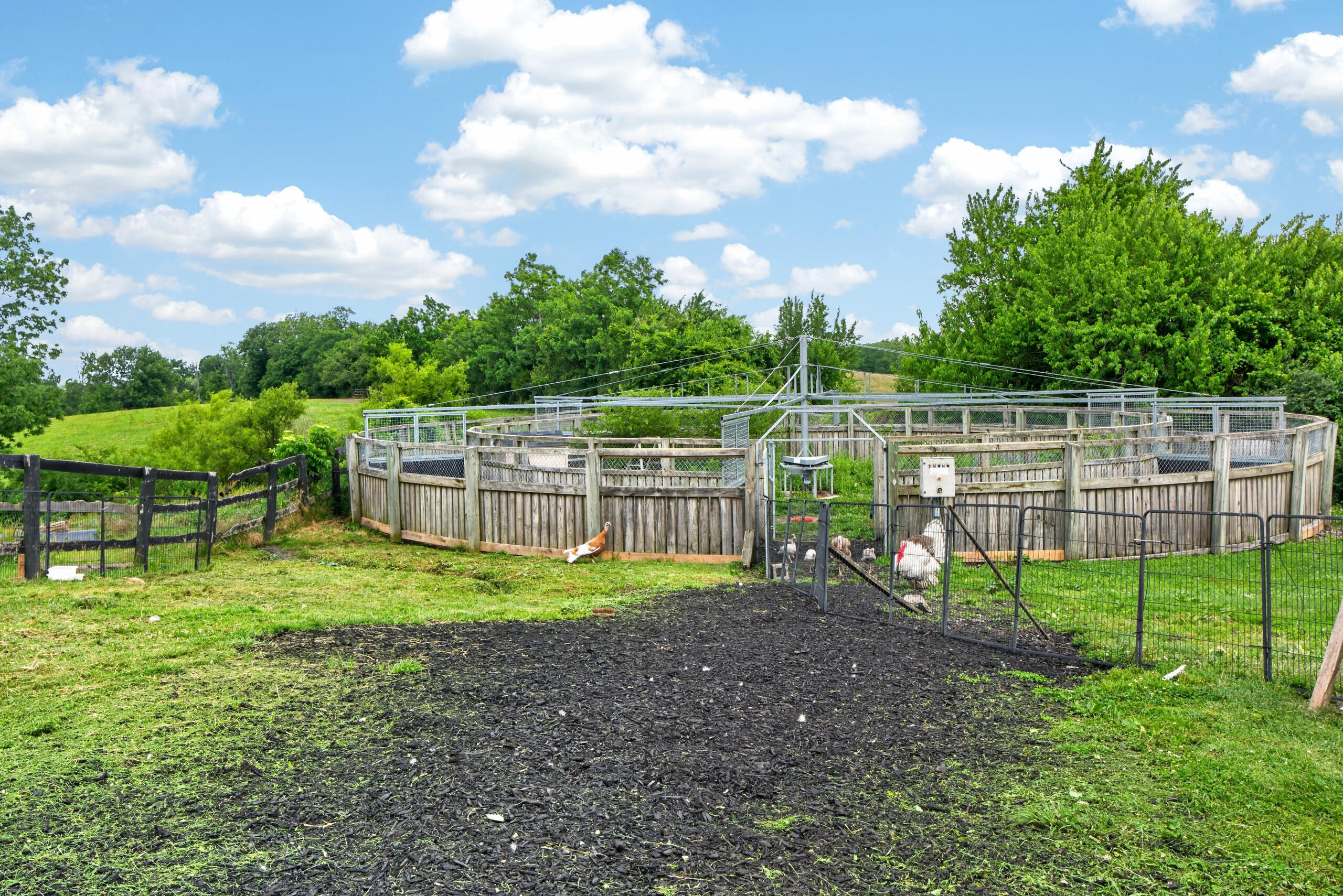 493 Levy Road Paris, KY 40361 - Photo 19 of 49 493levy25