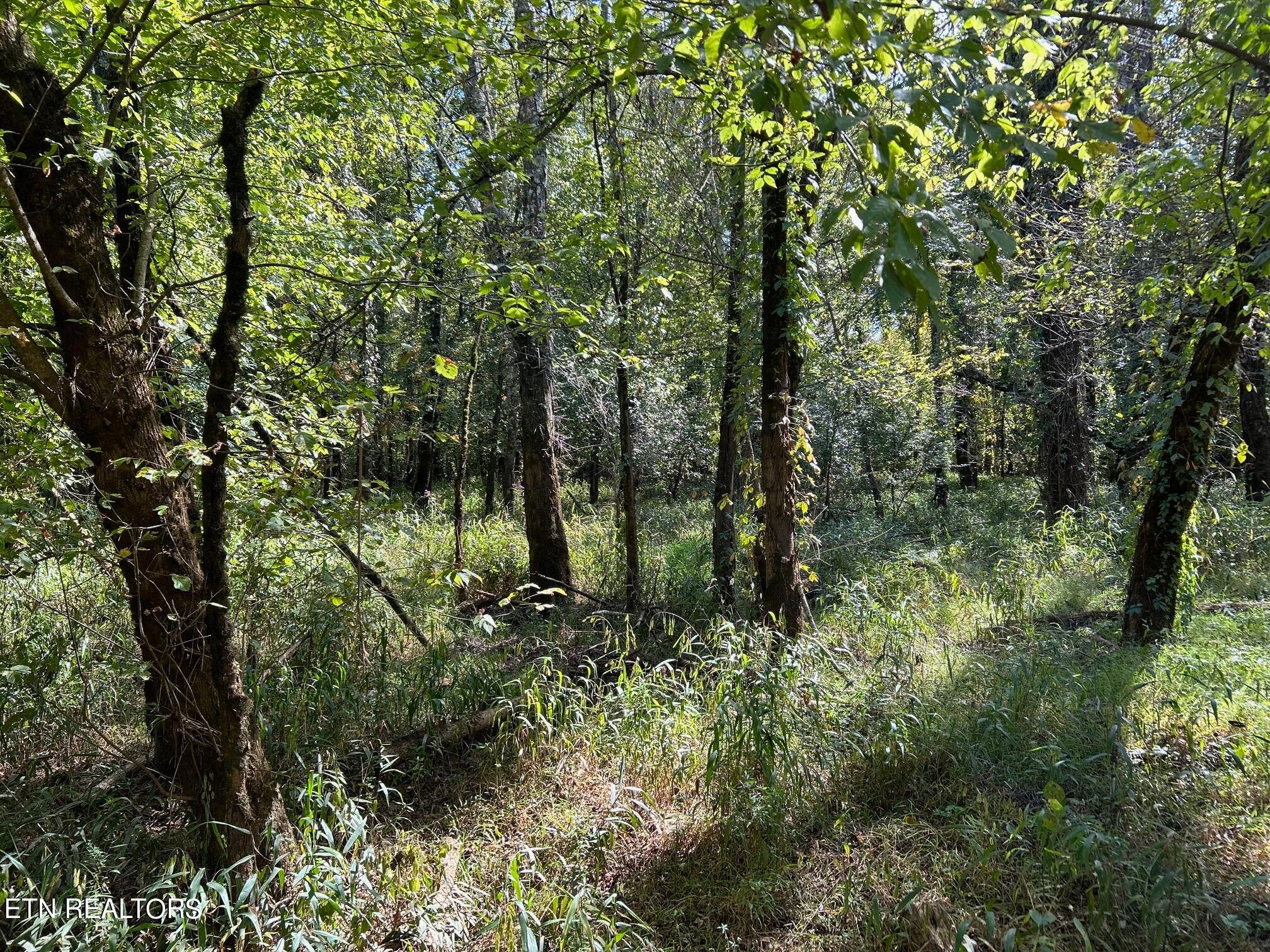 5945 Athens Road Calhoun, TN 37309 - Photo 16 of 44
