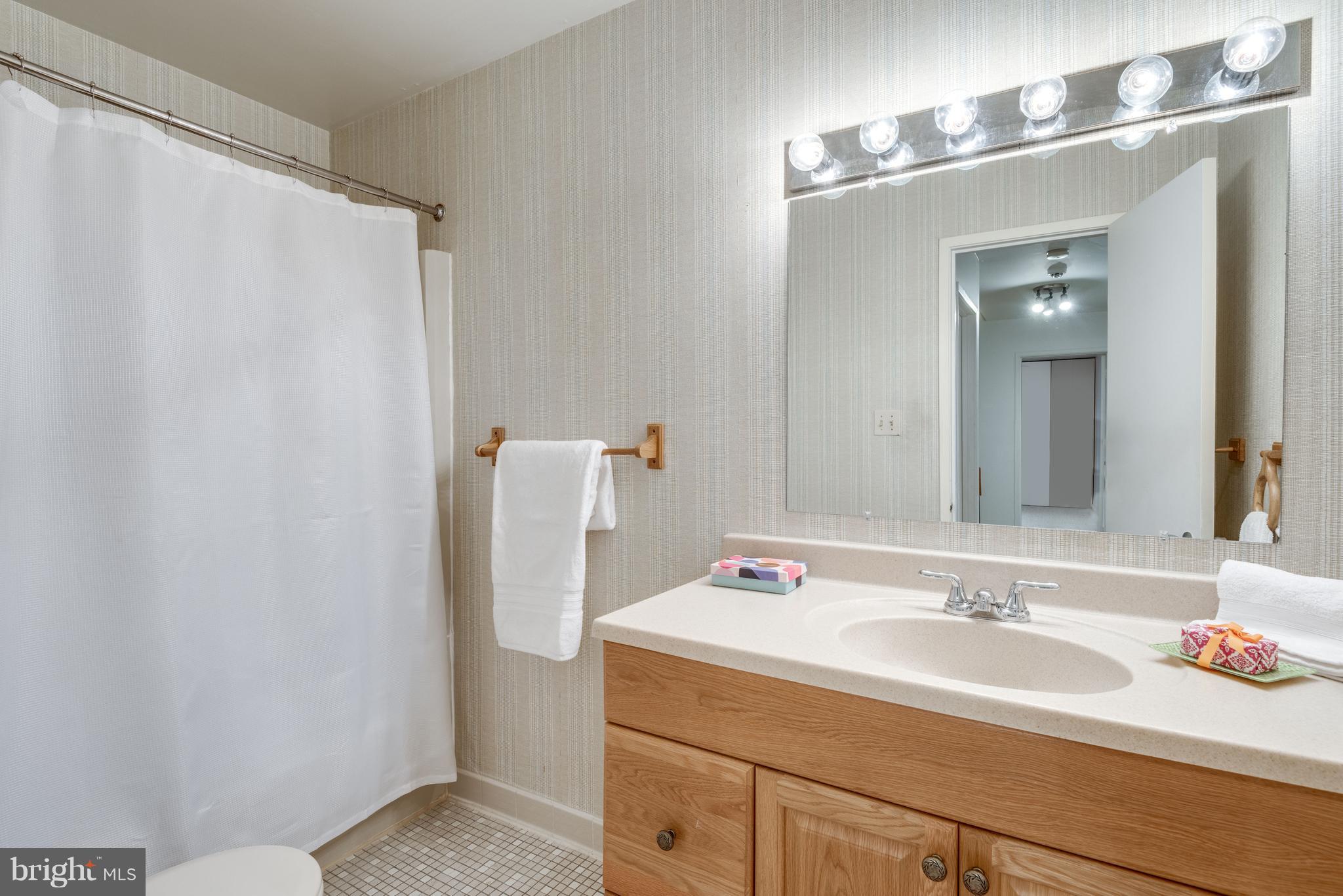 1754 Wainwright Drive Reston, VA 20190 - Photo 20 of 23 Bathroom