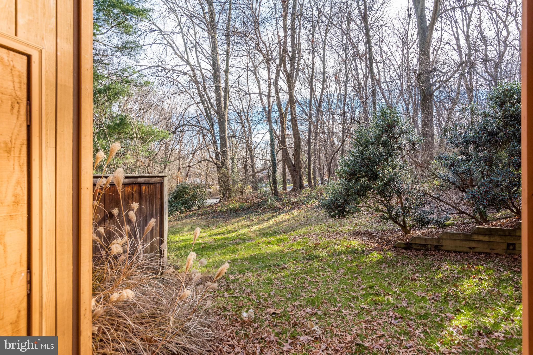 1754 Wainwright Drive Reston, VA 20190 - Photo 22 of 23 Backyard