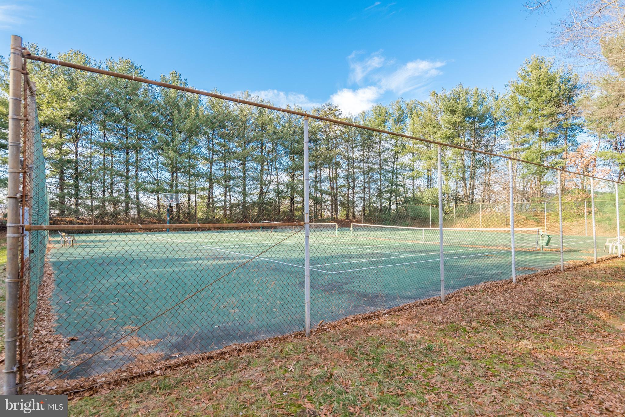 1754 Wainwright Drive Reston, VA 20190 - Photo 23 of 23 Tennis Courts