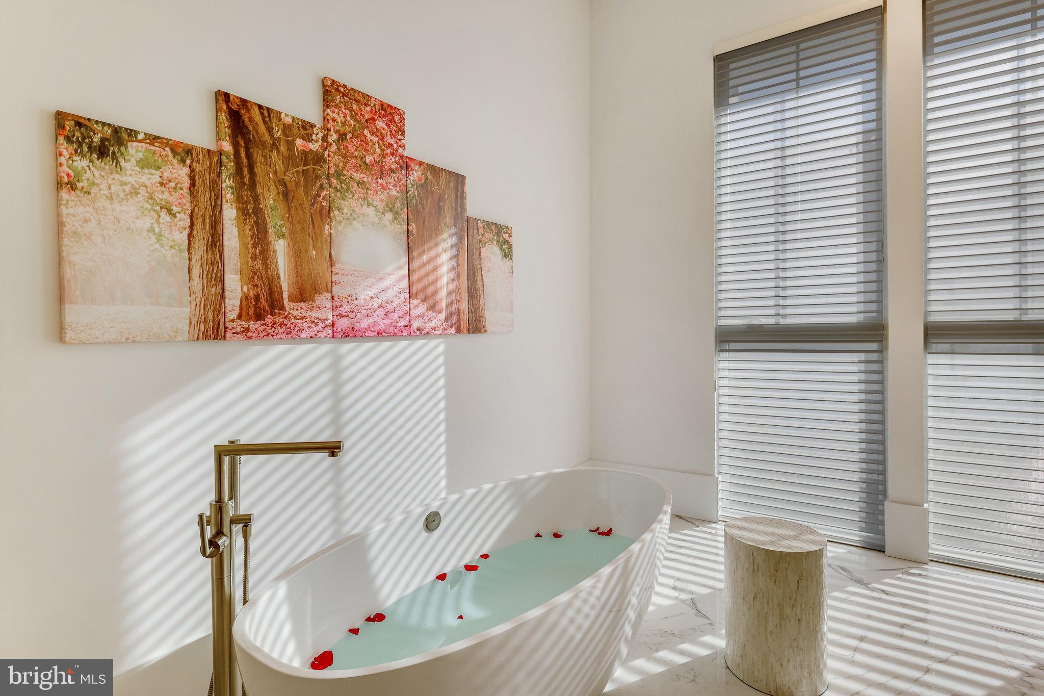 40887 Blue Star Court Aldie, VA 20105 - Photo 52 of 102