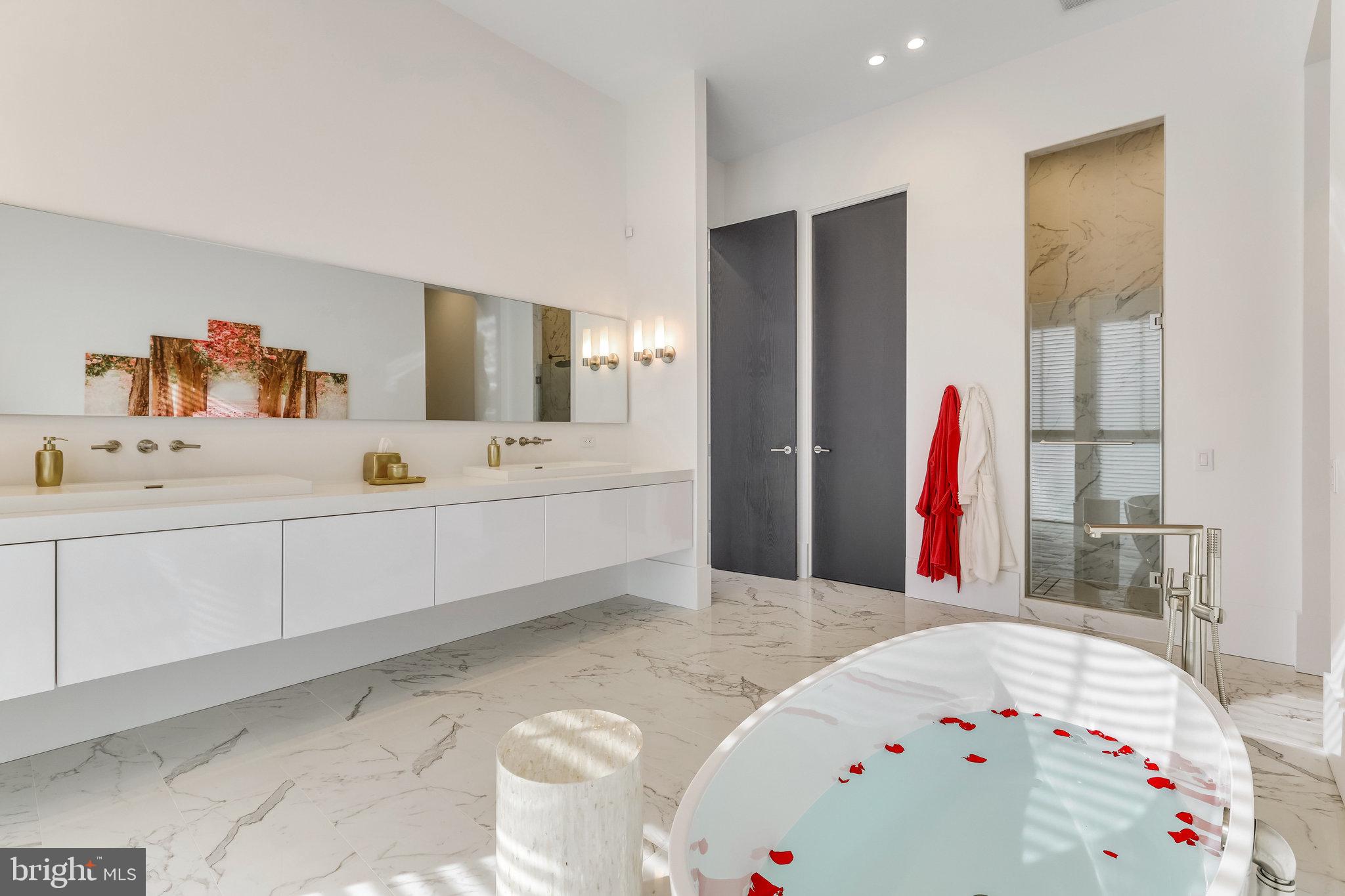 40887 Blue Star Court Aldie, VA 20105 - Photo 53 of 102