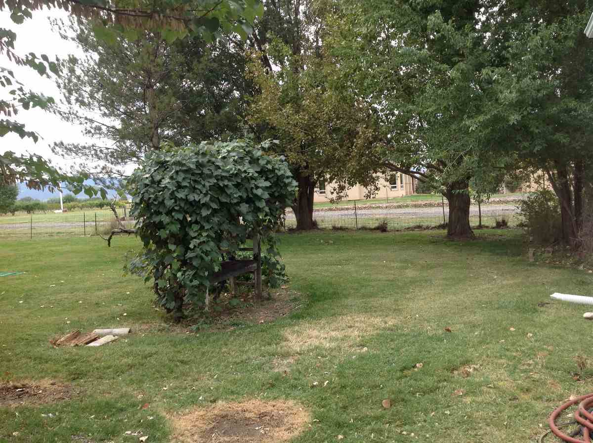 3229 B B 1/2 Road Grand Junction, CO 81503 - Photo 26 of 32 Gallery Image 26