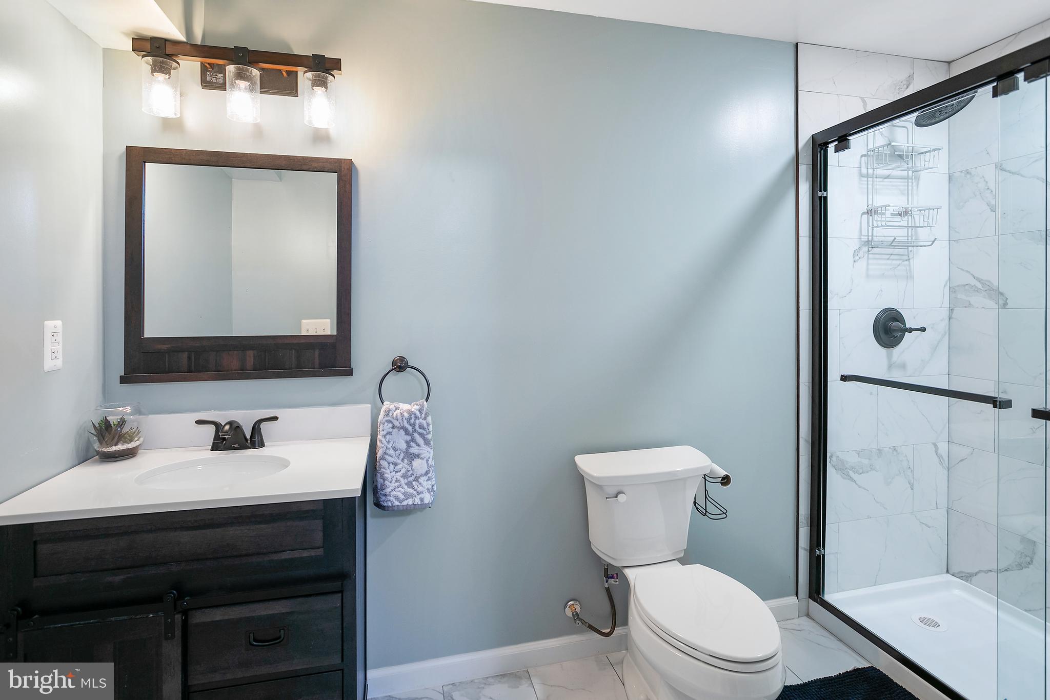 10576 Long Leaf Lane Waldorf, MD 20603 - Photo 37 of 54 a bathroom with a toilet sink vanity and mirror