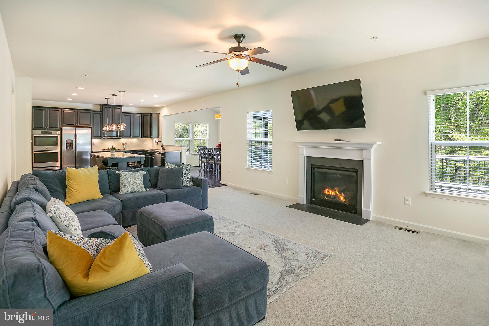 10576 Long Leaf Lane Waldorf, MD 20603 - Photo 9 of 54 a living room with furniture a fireplace and a flat screen tv