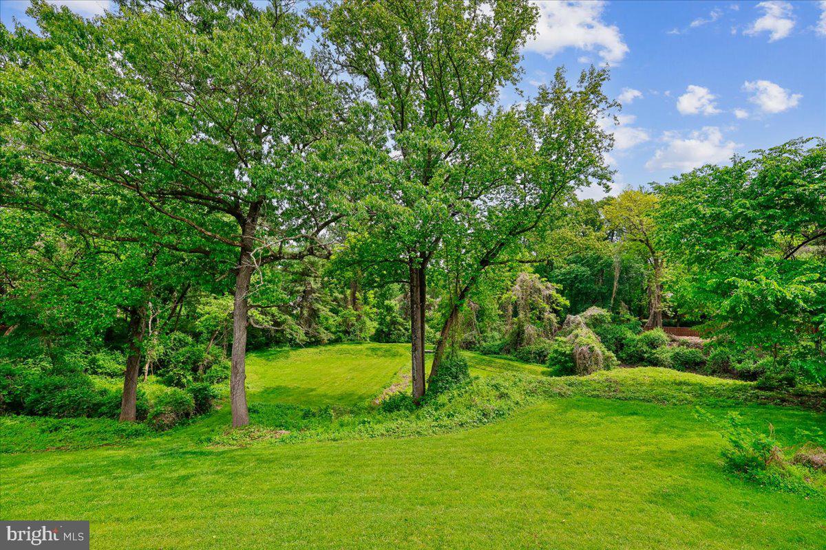 10029 Pratt Place Silver Spring, MD 20910 - Photo 4 of 36 a view of green field with trees in the background