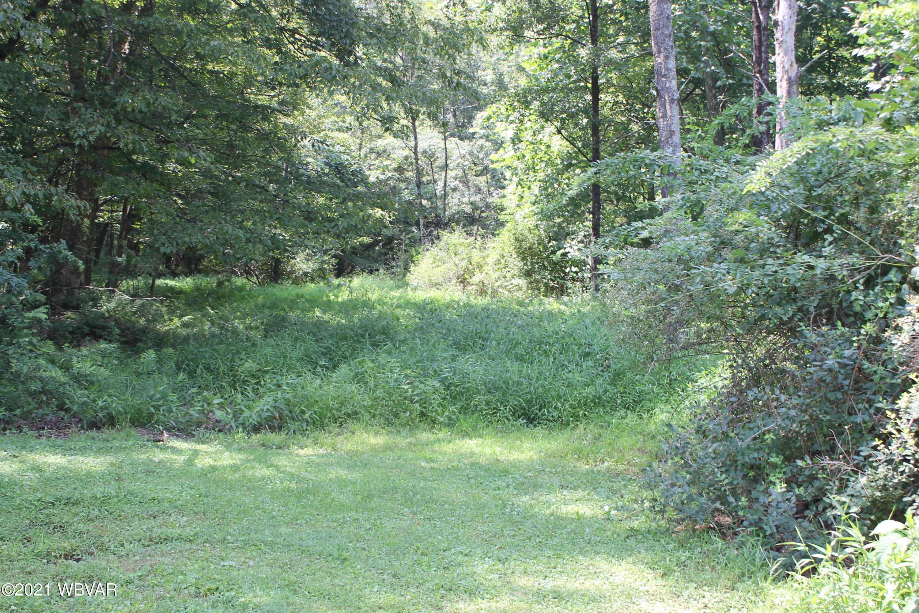Pleasant Stream Road Trout Run, PA 17771 - Photo 2 of 12 Gallery Image 2