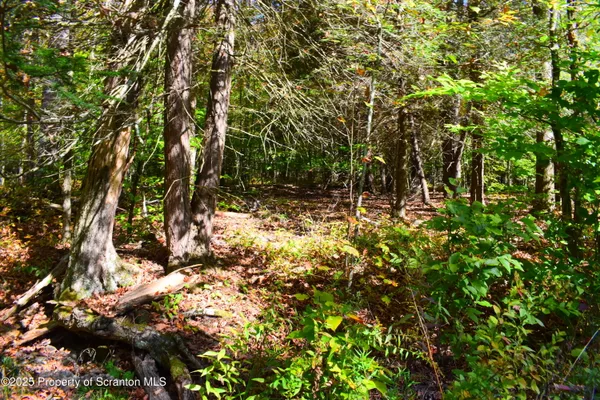 $210,000 | Westwoods Road Road, Brackney, PA 18812