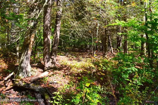 $210,000 | Westwoods Road Road, Vestal, PA 13850