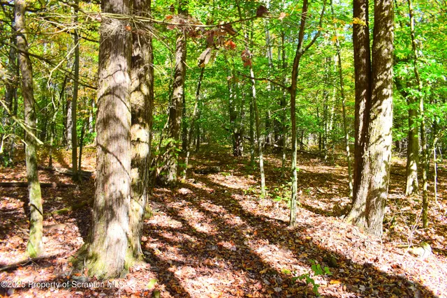 $210,000 | Westwoods Road Road, Vestal, PA 13850