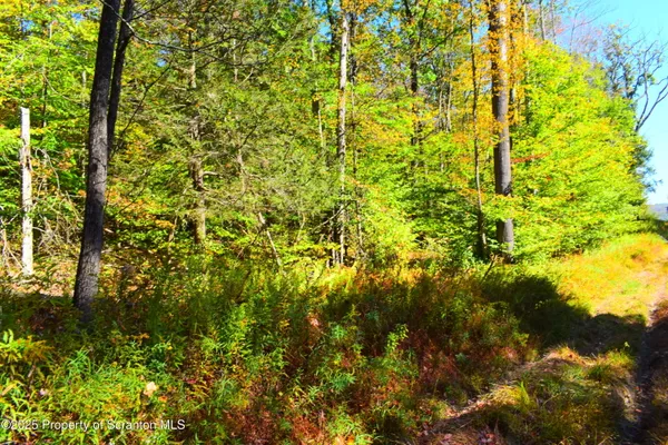 $210,000 | Westwoods Road Road, Brackney, PA 18812