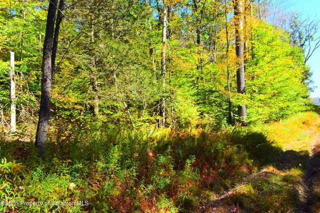 $210,000 | Westwoods Road Road, Vestal, PA 13850