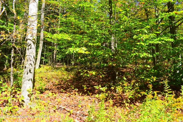 $210,000 | Westwoods Road Road, Vestal, PA 13850