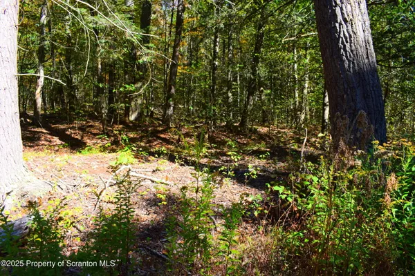 $210,000 | Westwoods Road Road, Brackney, PA 18812