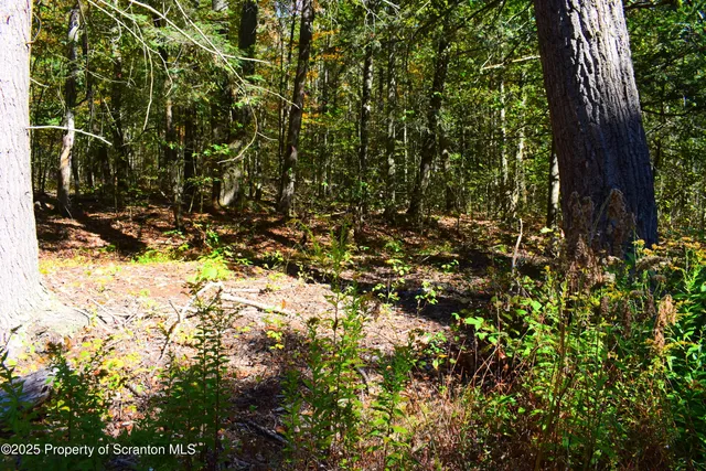 $210,000 | Westwoods Road Road, Vestal, PA 13850