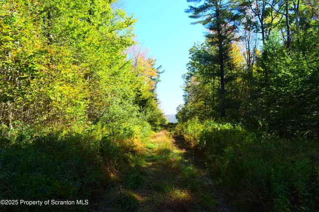 $210,000 | Westwoods Road Road, Vestal, PA 13850