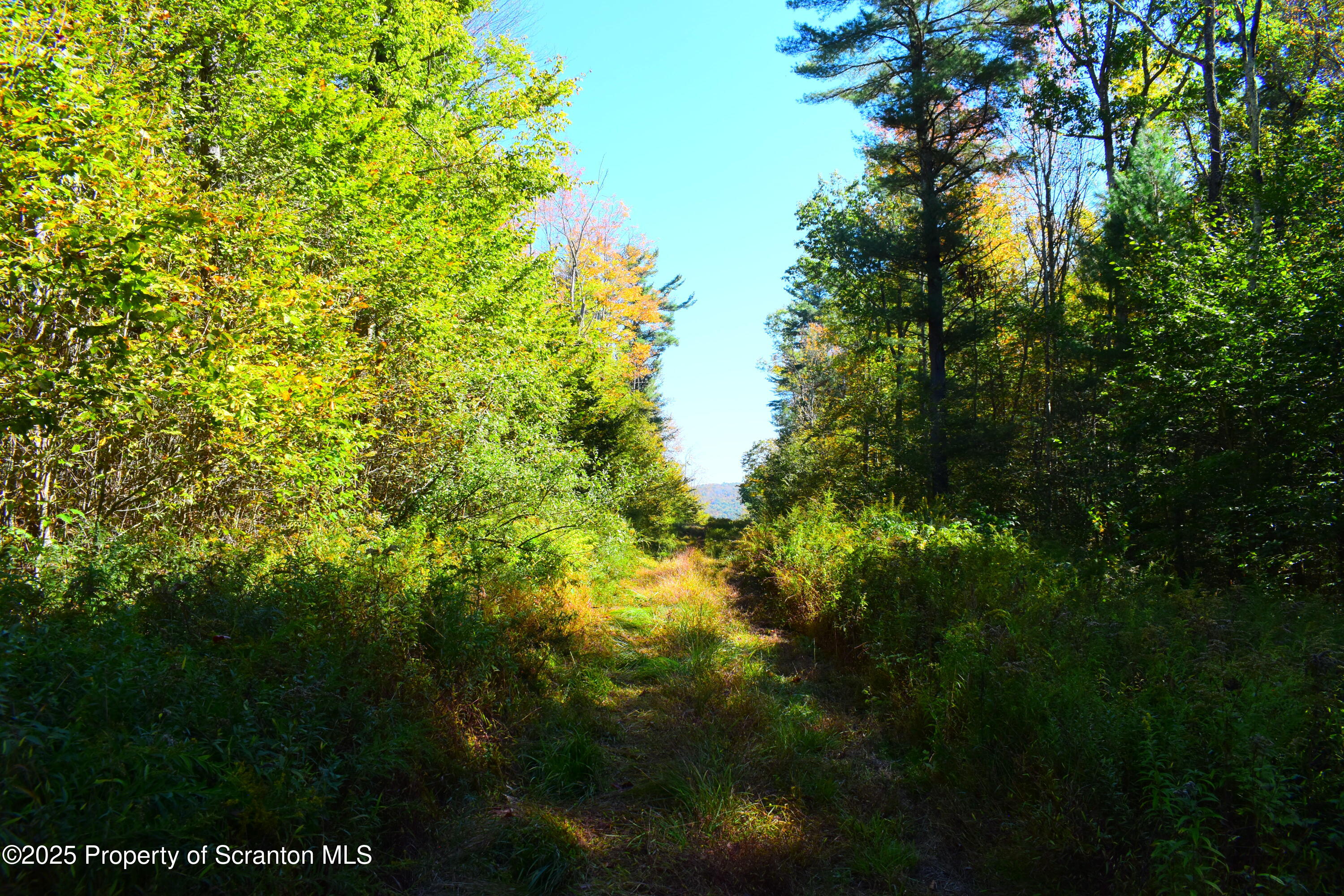 Westwoods Road Road Vestal, PA 13850 - Photo 8 of 8 DSC_0044