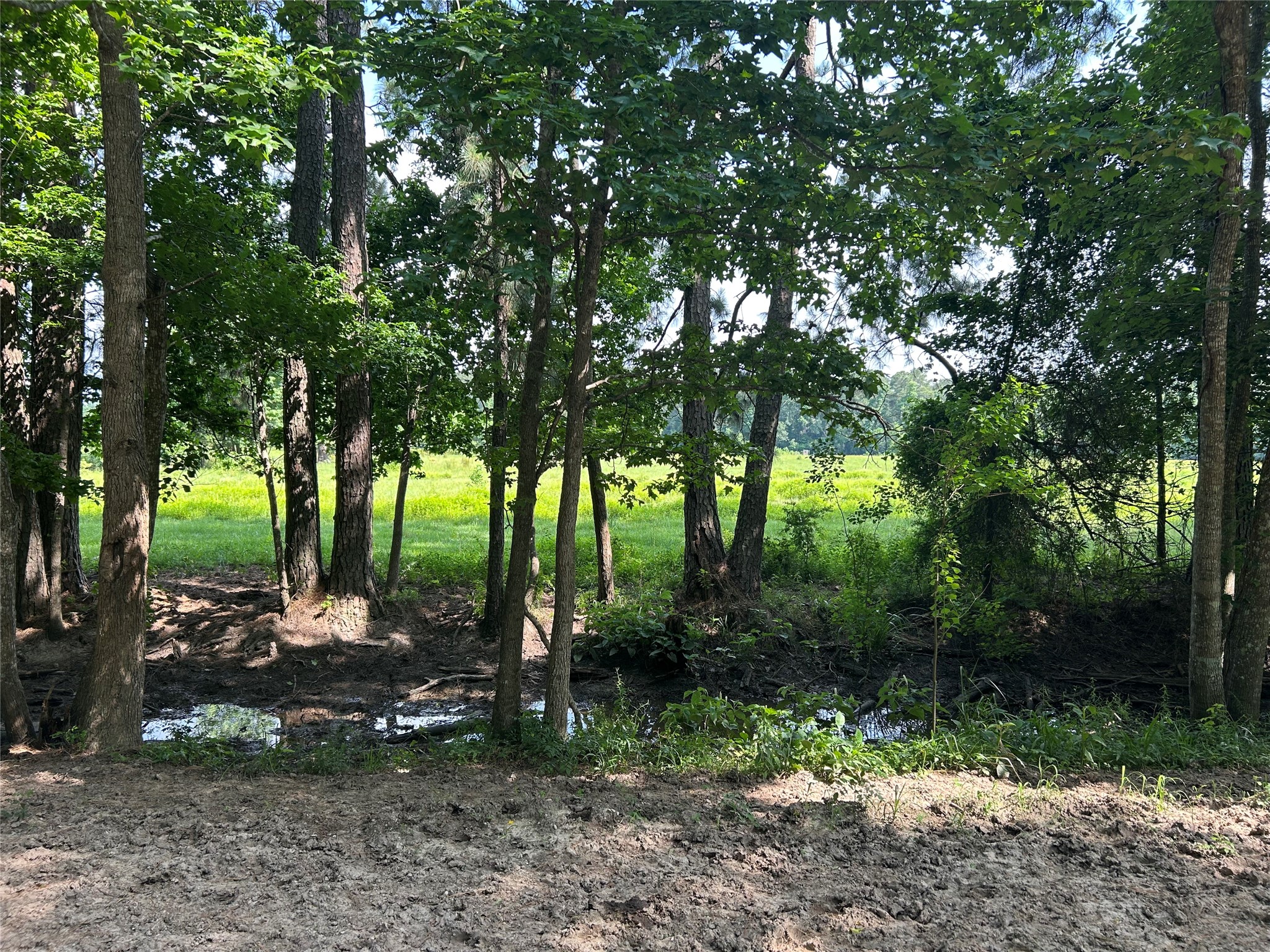 Lot 2 Minnie West Road Hull, TX 77564 - Photo 2 of 3