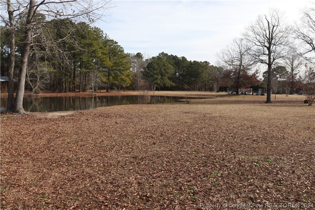 2938 Deep Branch Road Lumberton, NC 28360 - Photo 5 of 48 Gallery Image 5