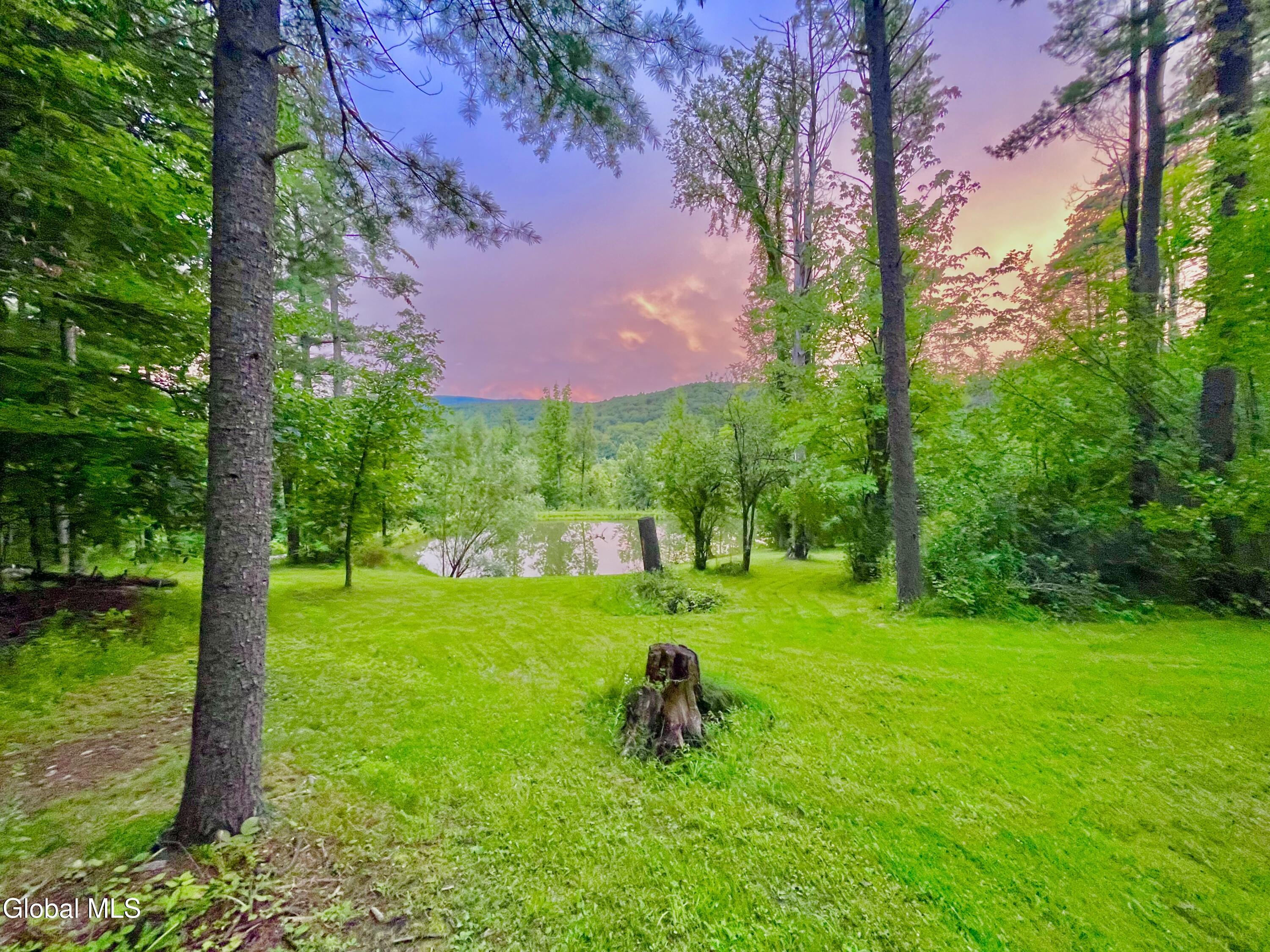 6575 Westfall Road Altamont, NY 12009 - Photo 46 of 53 IMG_7269