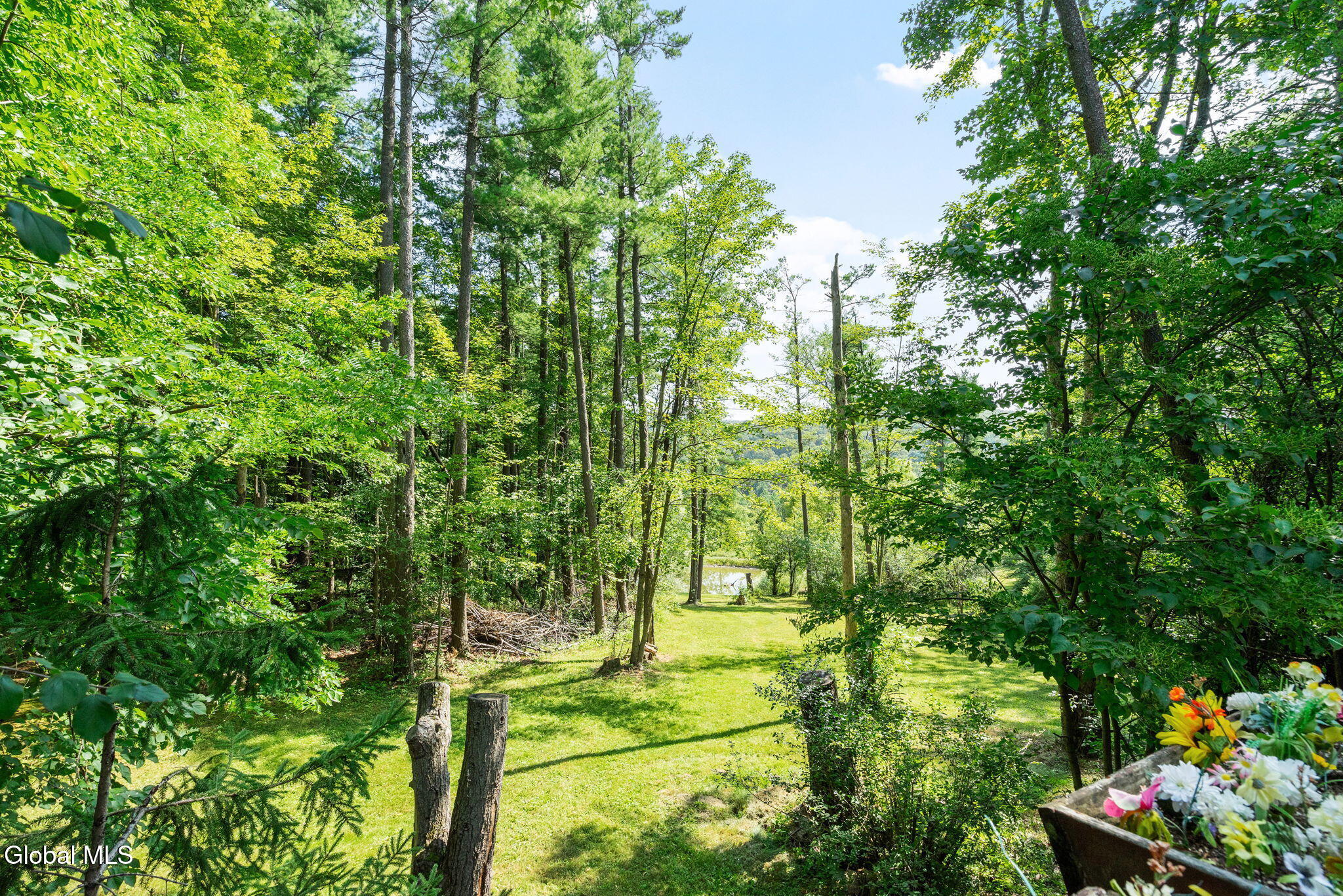 6575 Westfall Road Altamont, NY 12009 - Photo 47 of 53 10-web-or-mls-6575-westfall-rd