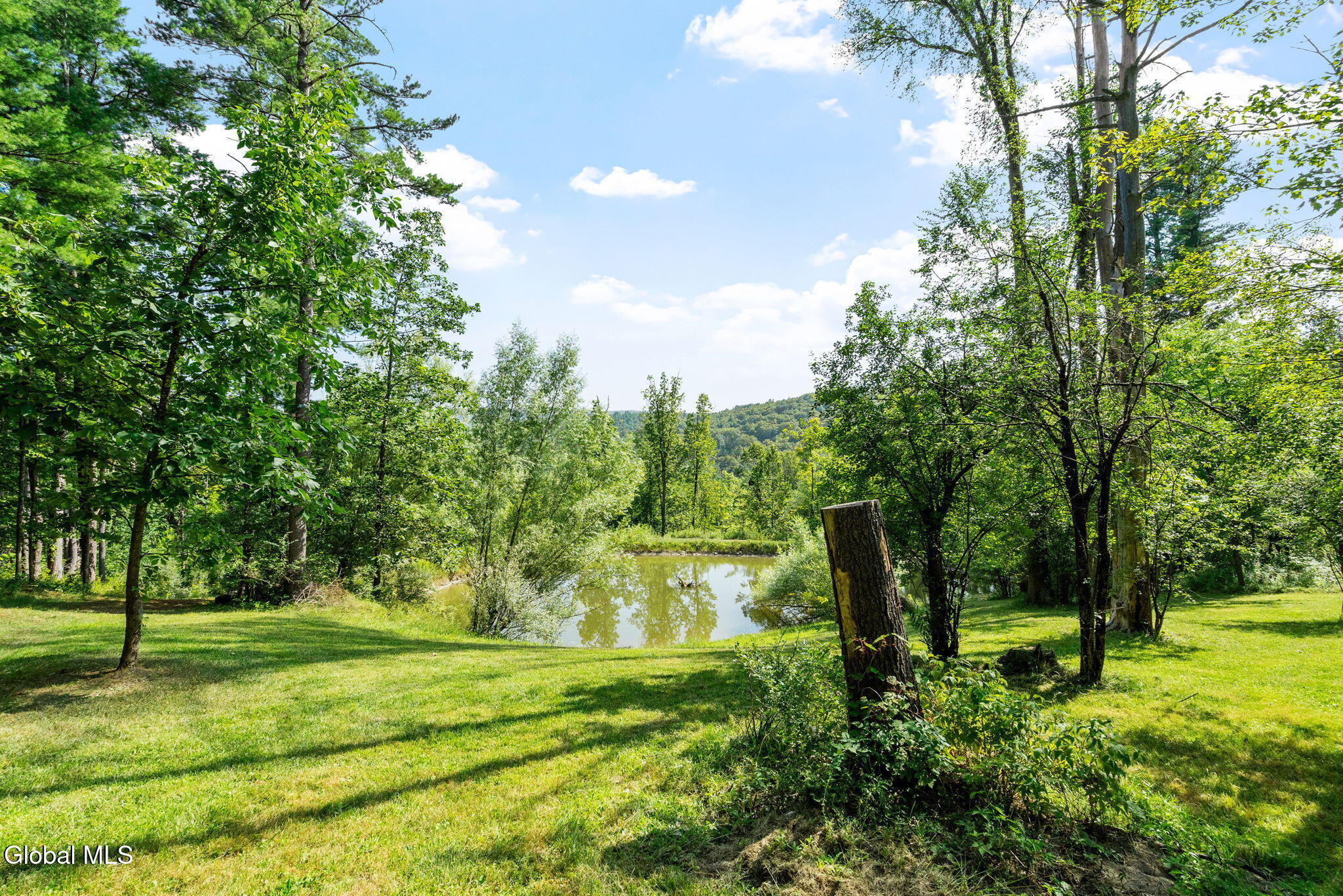 6575 Westfall Road Altamont, NY 12009 - Photo 48 of 53 29-web-or-mls-6575-westfall-rd