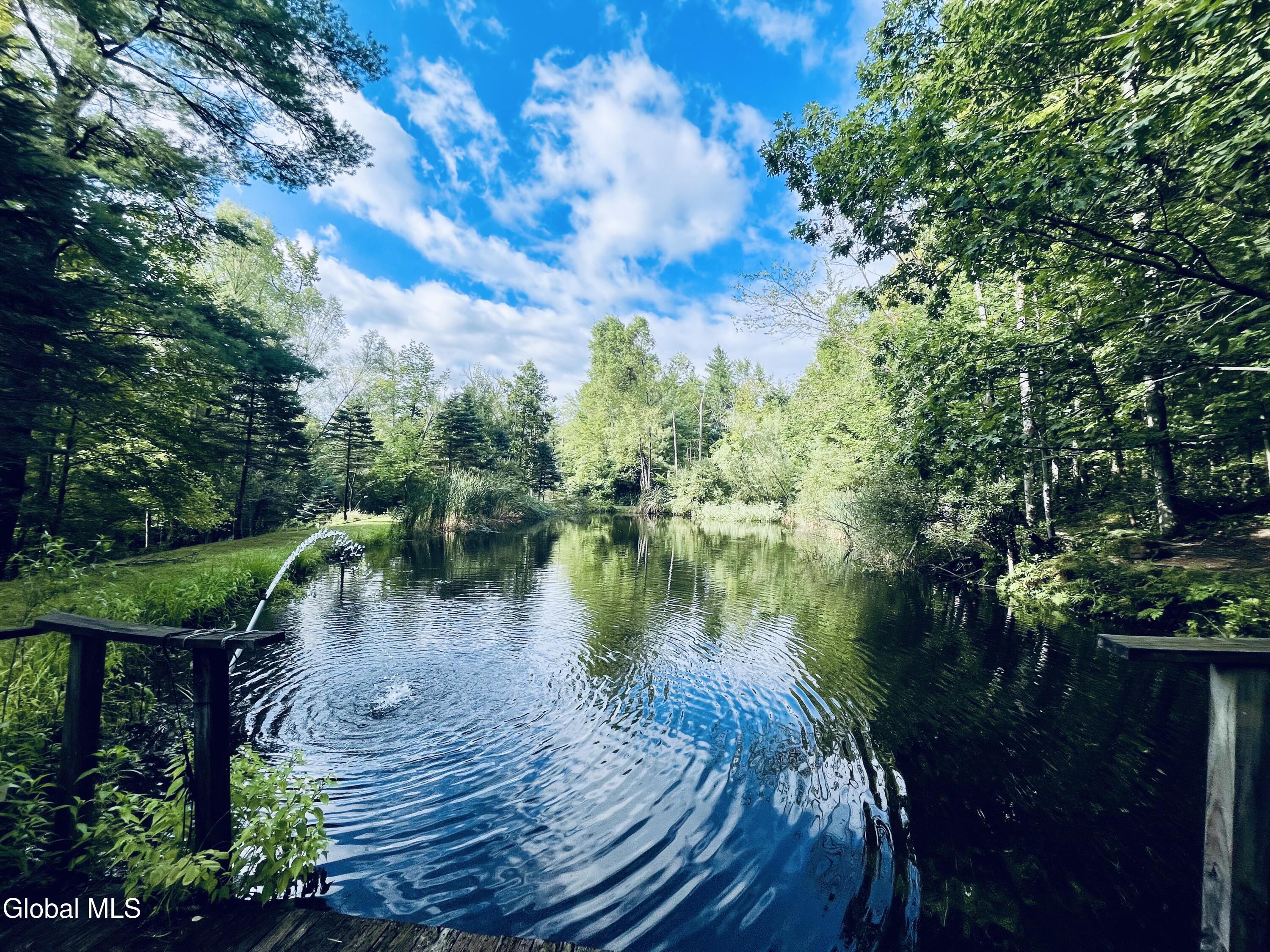 6575 Westfall Road Altamont, NY 12009 - Photo 51 of 53 IMG_7228