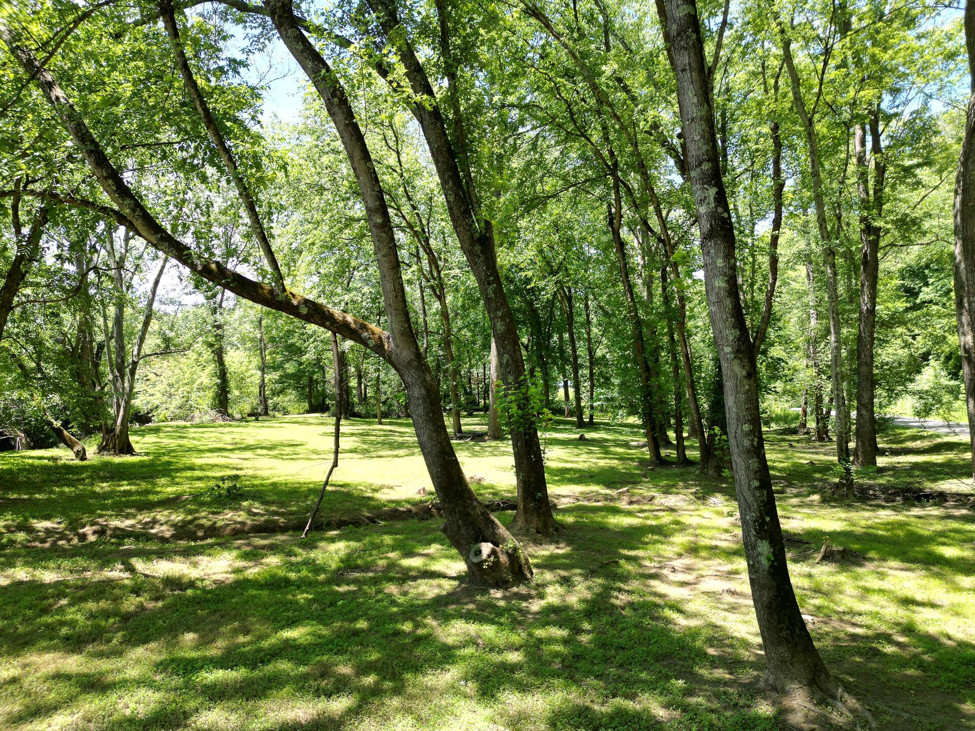 0 Keystone Road, Unit CREEKVIEW CABIN RACOON CREEK) Vinton, OH 45686 - Photo 22 of 72 CT-23