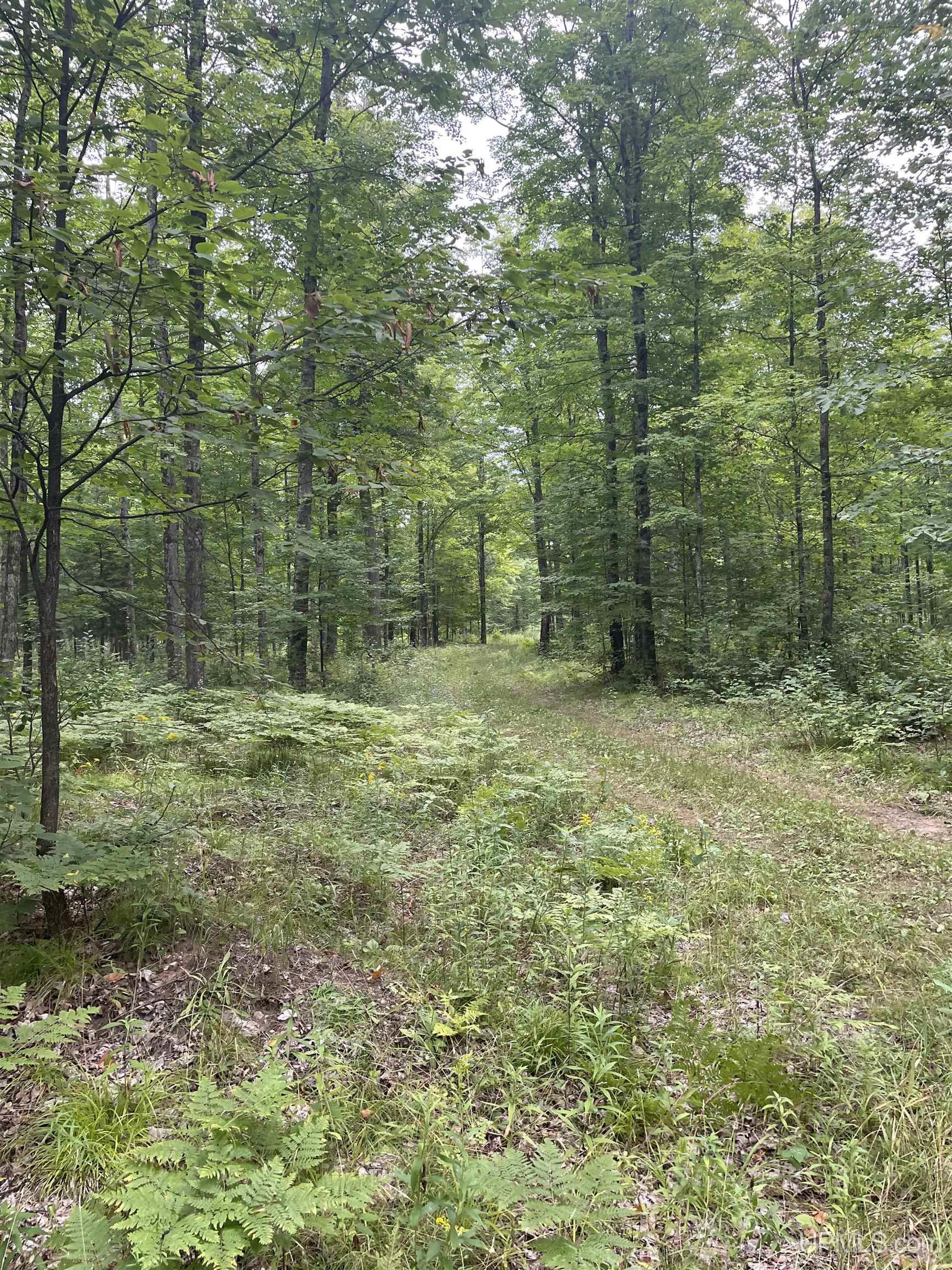 Tbd Tbd County Road, Unit 1 Cornell, MI 49818 - Photo 36 of 41