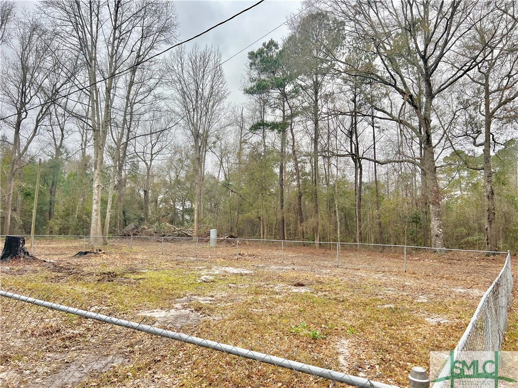 4121 Smiley Road Ludowici, GA 31316 - Photo 3 of 13 Gallery Image 3