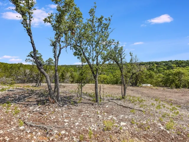 a view of a yard with a tree