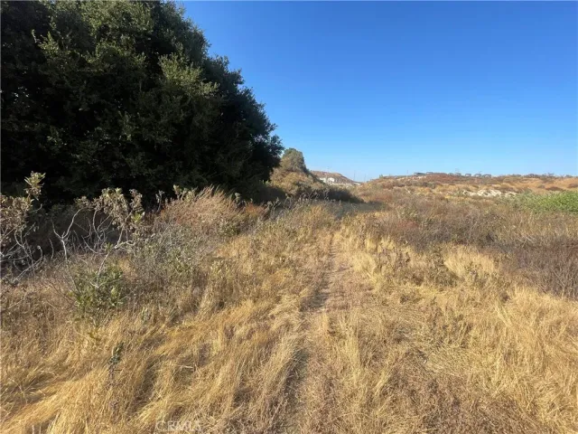 a view of mountain and covered with trees