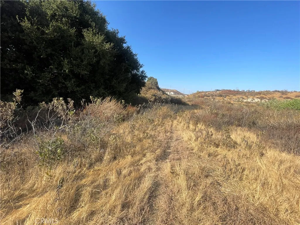 0 Newhall Newhall, CA 91321 - Photo 7 of 9 a view of mountain and covered with trees