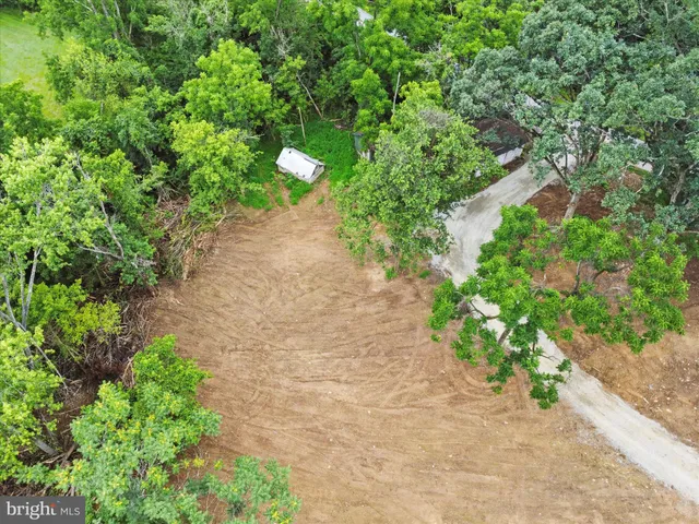 a view of a garden with a chair
