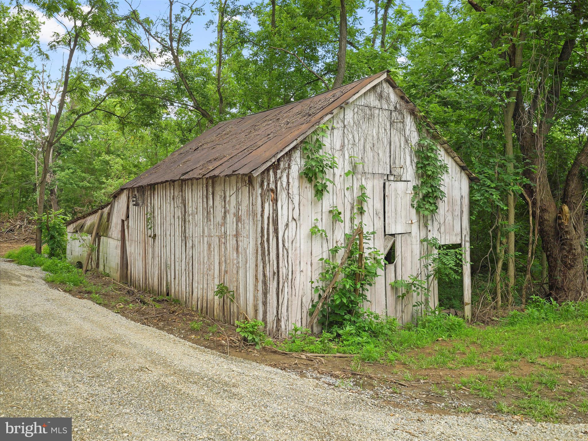 3305 Gapland Road Rohrersville, MD 21779 - Photo 18 of 27 a backyard of a house with plants and large trees