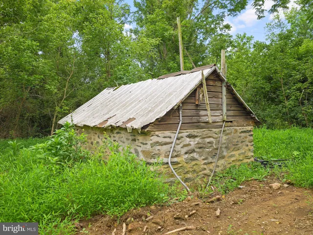 a view of a backyard with plants and large trees
