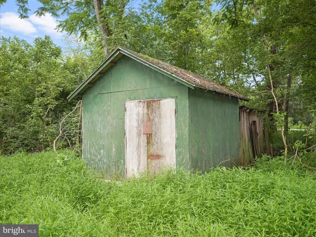 a backyard of a house with plants and large tree