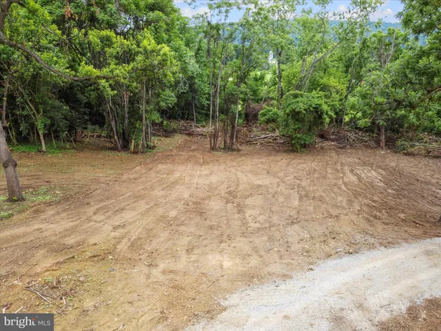 a view of outdoor space and yard