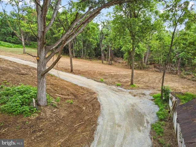 a backyard of a house with lots of plants and large trees