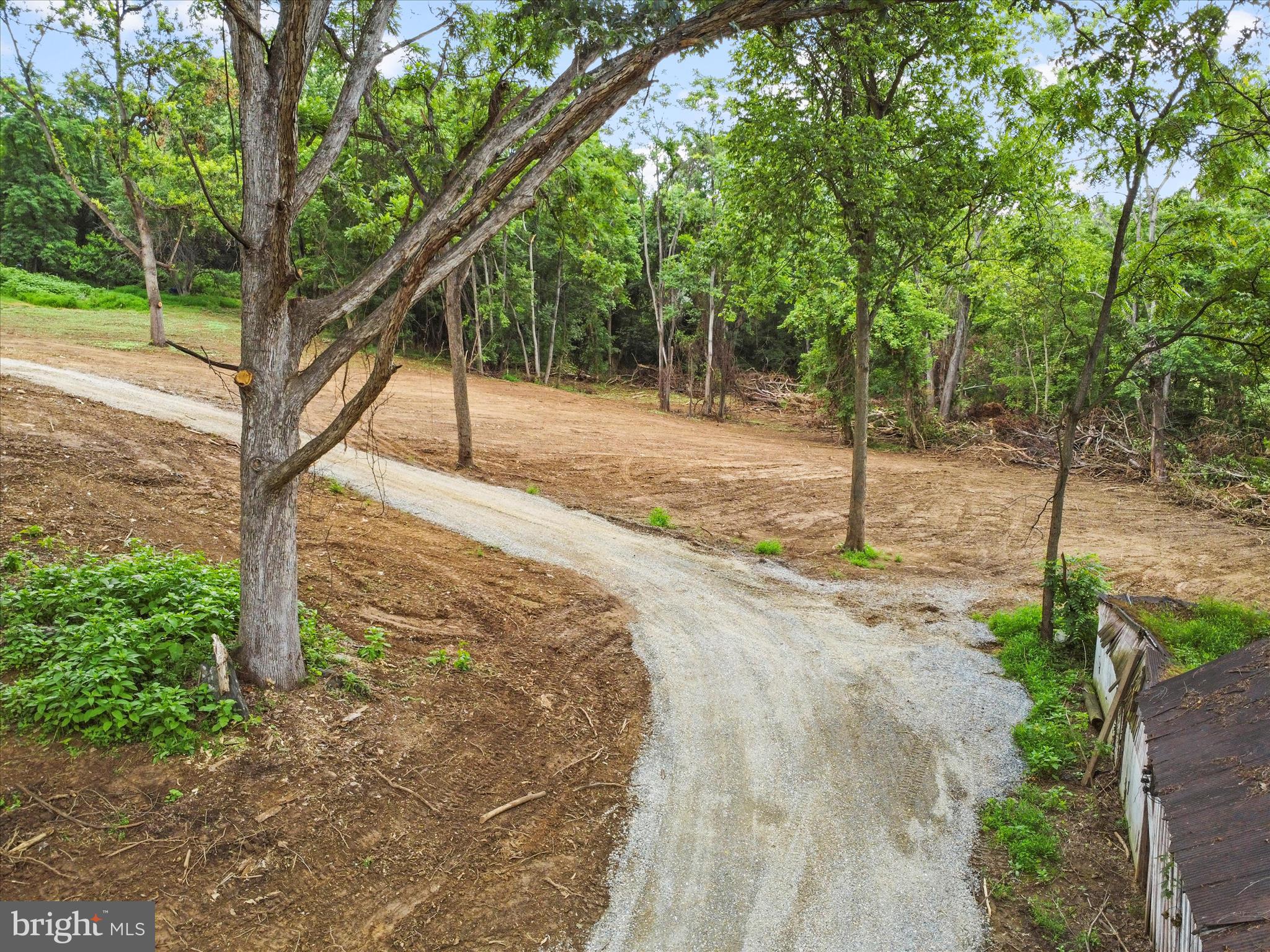 3305 Gapland Road Rohrersville, MD 21779 - Photo 8 of 27 a backyard of a house with lots of plants and large trees