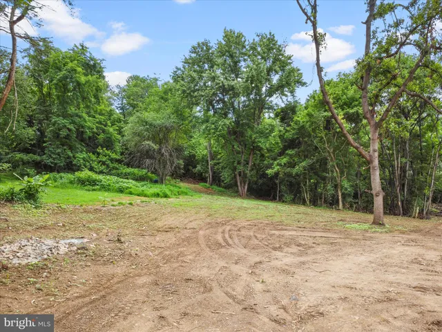 a view of outdoor space with trees