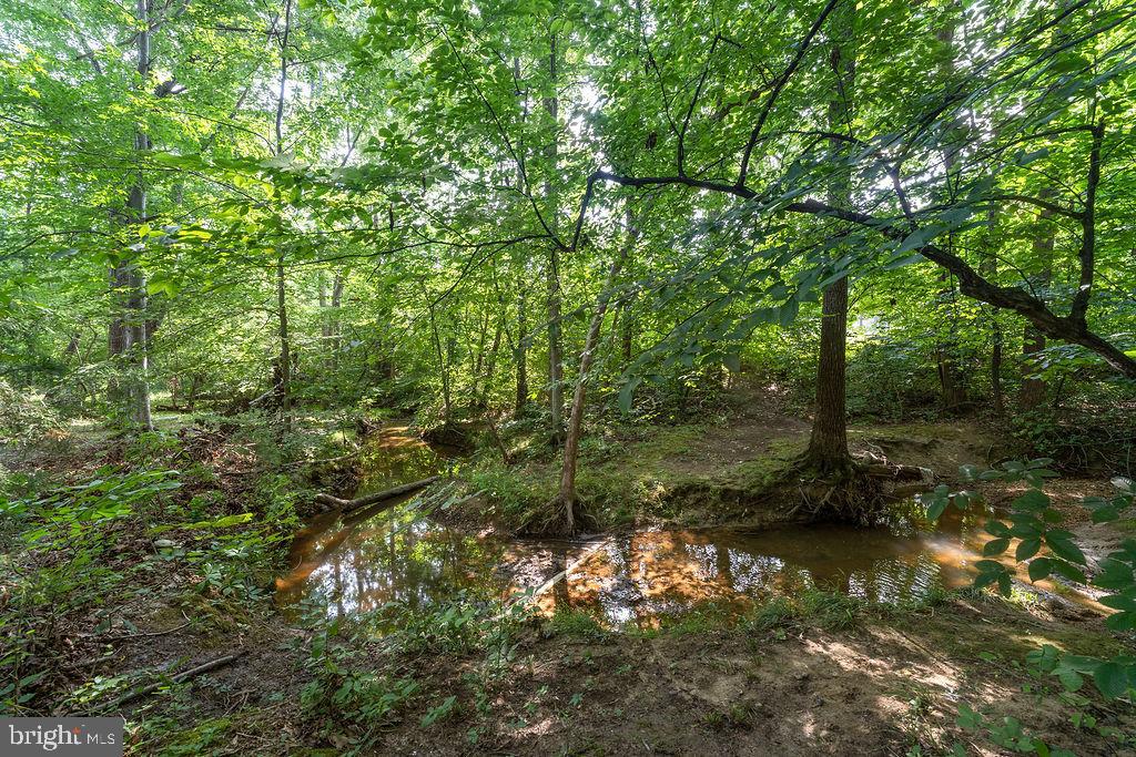 127 Saylers Creek Road Locust Grove, VA 22508 - Photo 10 of 56