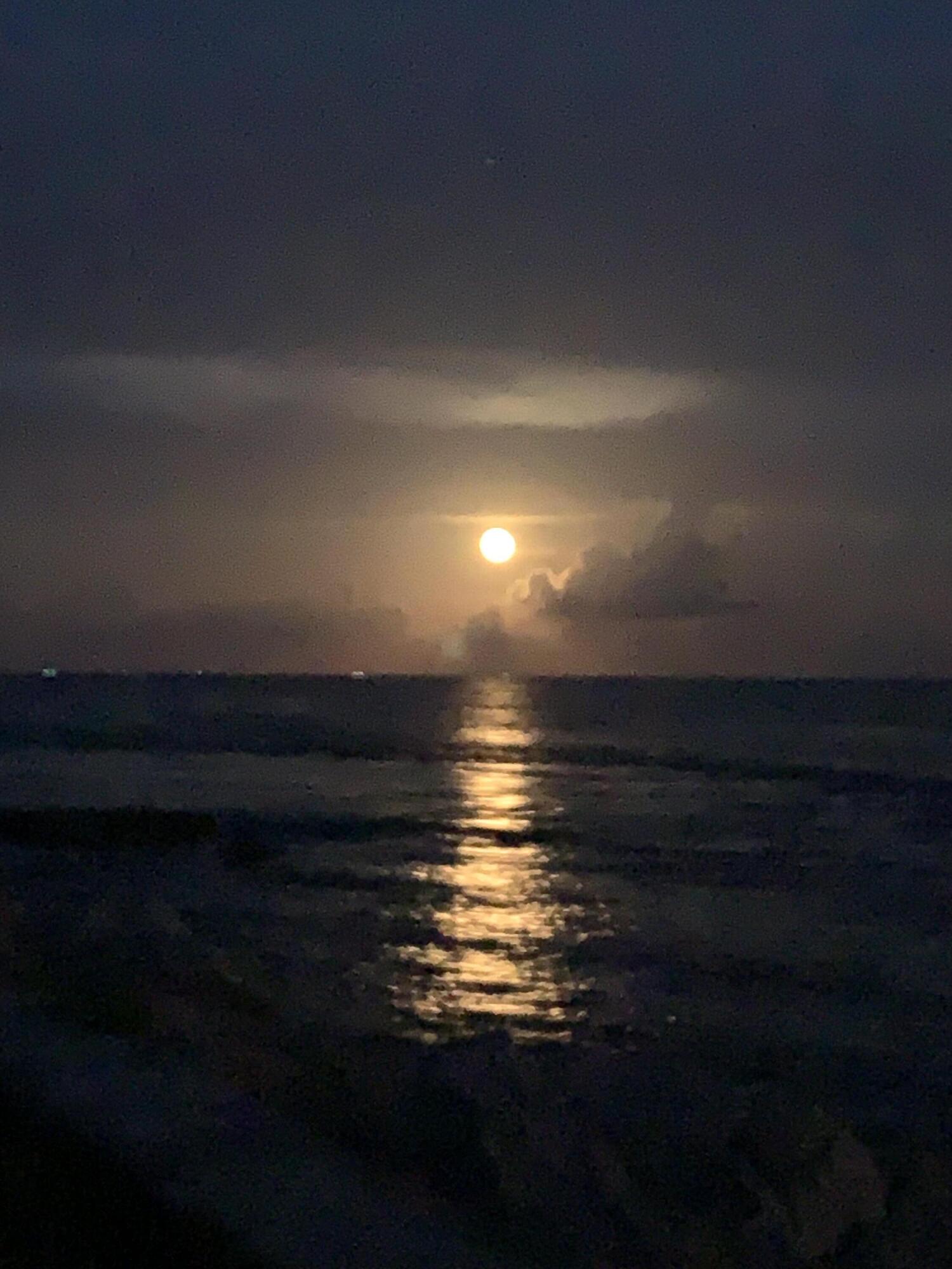 2324 23rd Court, Unit 55D Jupiter, FL 33477 - Photo 39 of 41 Moon Rise