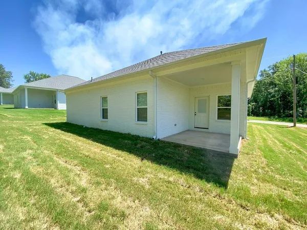 a view of a backyard with plants and large tree