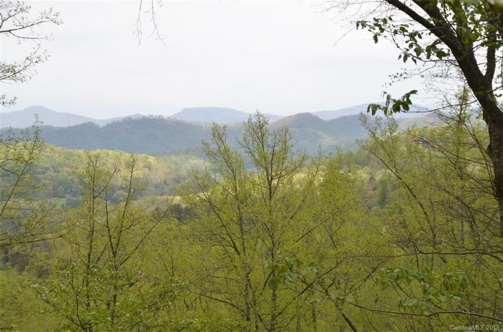 970 Henderson Road Franklin, NC 28734 - Photo 8 of 20 Gallery Image 8